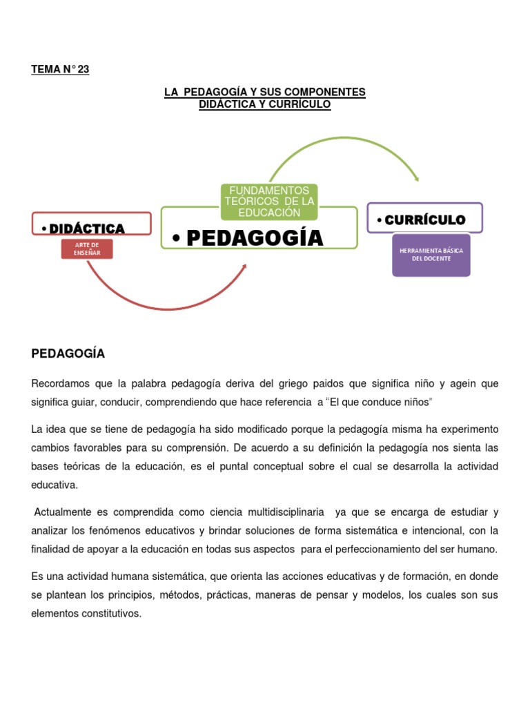 Fundamentos de Didáctica y Currículo | PDF | Plan de estudios | Pedagogía