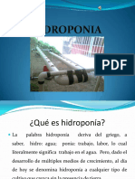 hidroponiadiapositivas