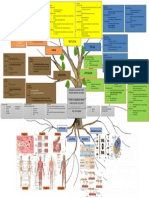 Mindmap Orthopedic 1102013007 Adinda Amalia Sholeha