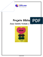 Projeto Bíblia