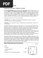 filologia-romanza-corso2