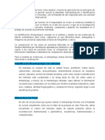 Análisis Antropológico Forense La Antropología Forense Tiene Como Objetivo