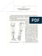 19.Interventii Chirurgicale Pe Oasele Si Articulatiile Membrelor