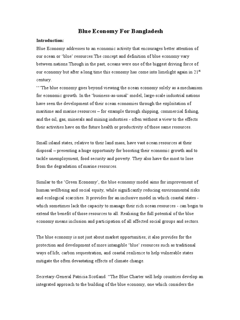 The Blue Economy Assignment | PDF