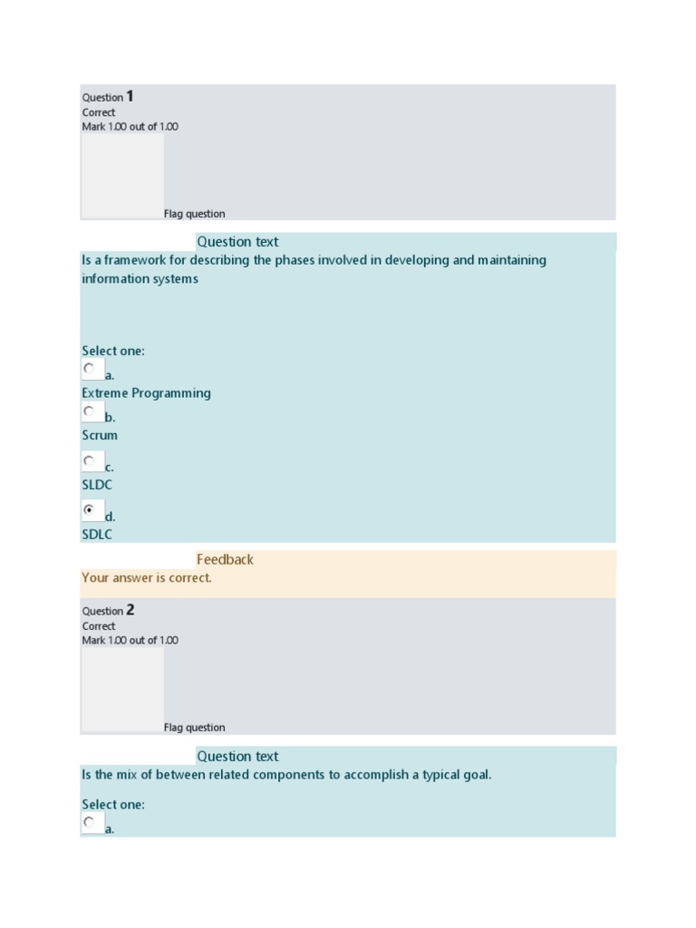 Information Systems Development Quiz | PDF | System | Use Case