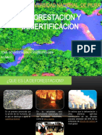 Deforestacion y Desertificacion