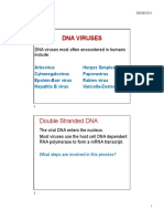 Dna Viruses: DNA Viruses Most Often Encountered in Humans Include