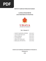 LAPORAN ANFISMAN J5