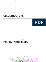4 - Cell Structure