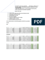 Práctica 09: Controles perpetuos FIFO, promedio y LIFO para la empresa El cuy cojo