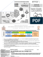 Fichas de Sexto Grado Proyecto Proyecto 9 Un Cuento A Obra de Teatro Yermo y Parres 8 Al 12 de Marzo de 2021