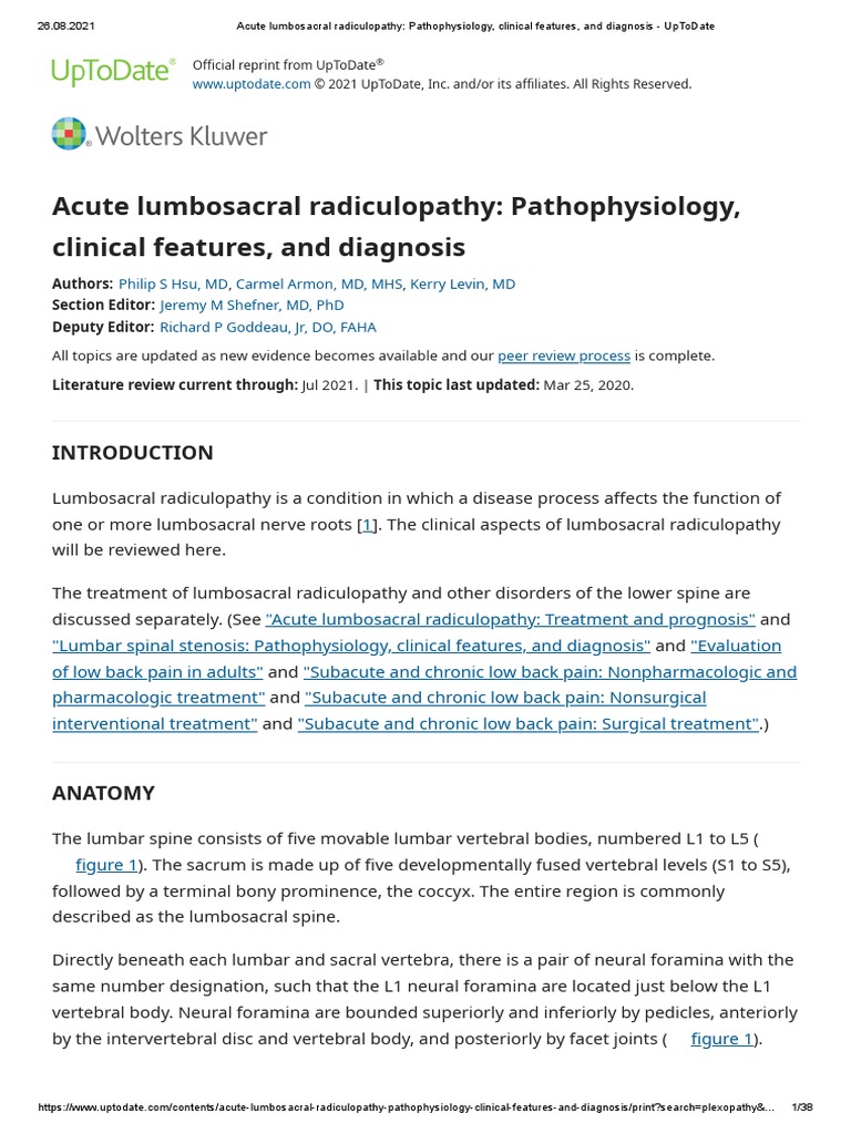 Acute Lumbosacral Radiculopathy Pathophysiology Clinical Features