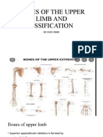 Bones of The Upper Limb and Ossification