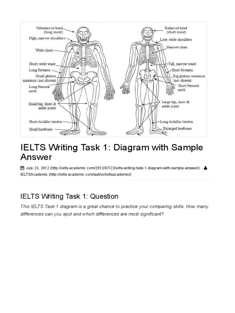 IELTS Writing Task 1 Diagram With Sample Answer | PDF | Homo | Human