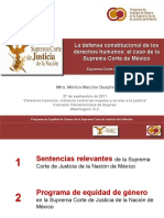 Seminar AccesoJusticia Maccise