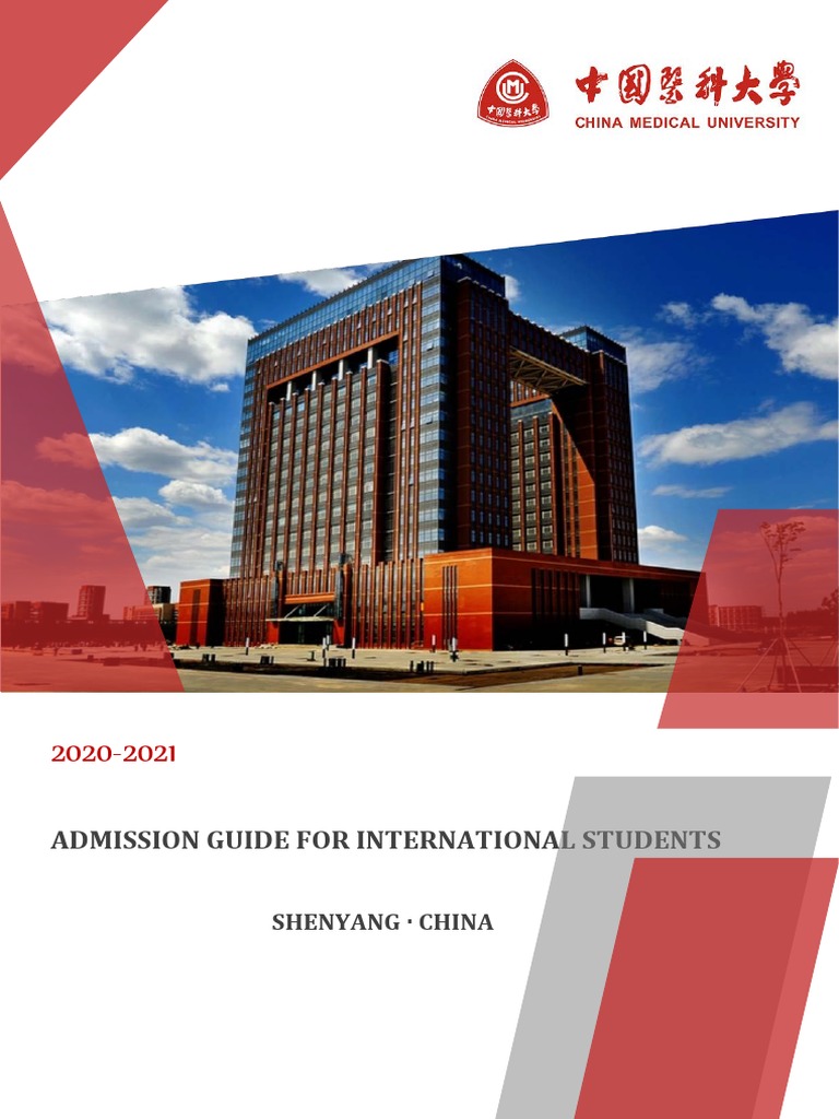 Chinese language intelligence overview