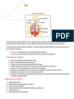 Tarea 9