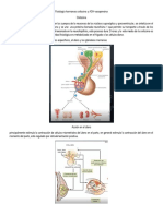 Fisiología Hormonas Oxitocina y ADH