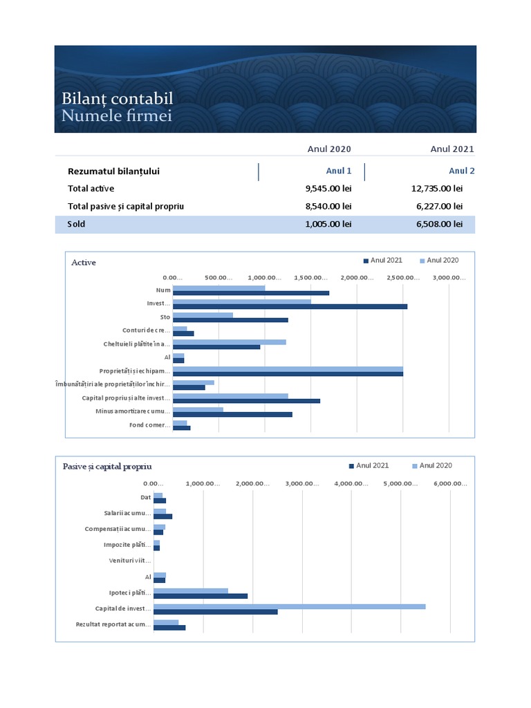 Bilant Contabil SRL | PDF
