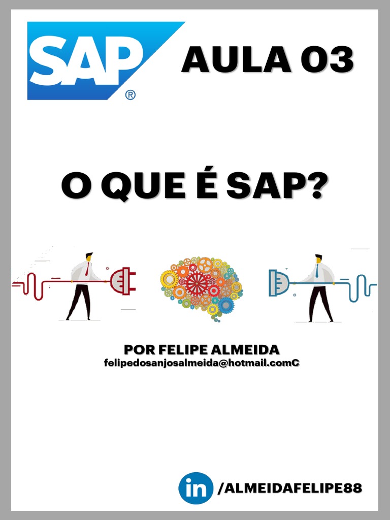 Guia Prático para Iniciantes em SAP | PDF | Programas | Informática