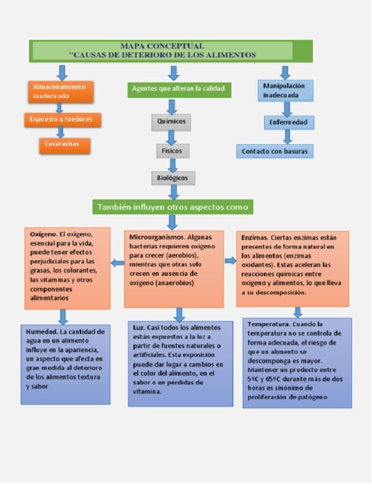 Mapa Conceptual Deterioro de Los Alimentos Dibu | PDF