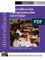 Guia Diversificacion_y_programacion Curricular (2)