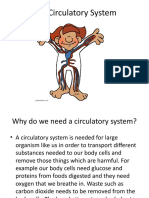 Circulatory System