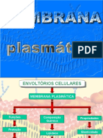 MEMBRANA PLASMATICA