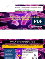 Clase 10 - Familia - Enterob E. Coli, Sal, Shig, CÁCEDA 10