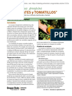 Cultive Sus Propios: Tomates Y Tomatillos