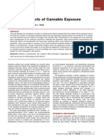 Epigenetic Effects of Cannabis Exposure