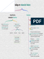 Psicólogo en Educación Básica Mapa Comceptual