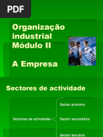 Organização Industrial Modulo2