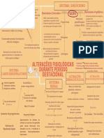 LORENA CORREIA SANTA CRUZ. Alterações Fisiológicas Durante Período Gestacional.