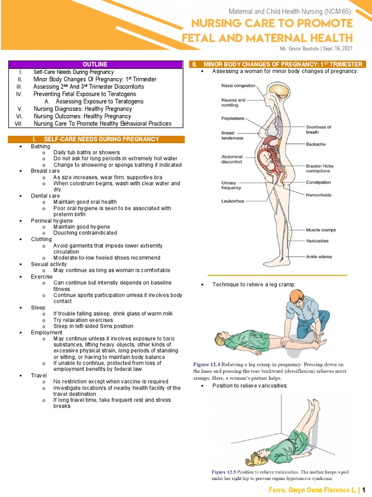Nursing Care To Promote Fetal Maternal Health | PDF | Pregnancy | Fetus