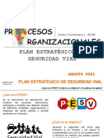 Pesv Área Comercial PDF