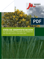 Guia Identificacion Plantas