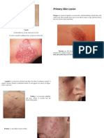 Primary Skin Lesion Types and Descriptions