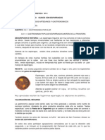 FICHA DE RECURSO TURISTICO #4 Esparragos PDF