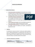 PROYECTO DE APRENDIZAJE - Preparación, Formulación