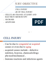 3.cellular Injury