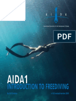 AIDA1 Manual