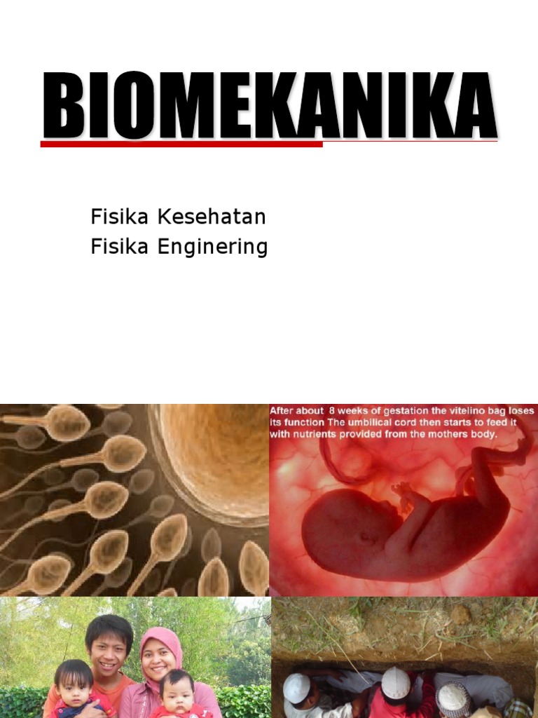 Biomekanika 2015 | PDF