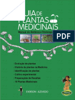 Guia de Plantas Medicinais. Manual Do Botânico-Fitoterapeuta by Everson Azevedo