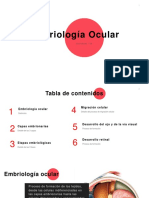 Formación Ojo Embriología