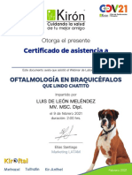 Cert Asis Webinar Oftalmologia Braquicefalos