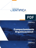 Comportamiento Organizacional: Enfoques del Liderazgo