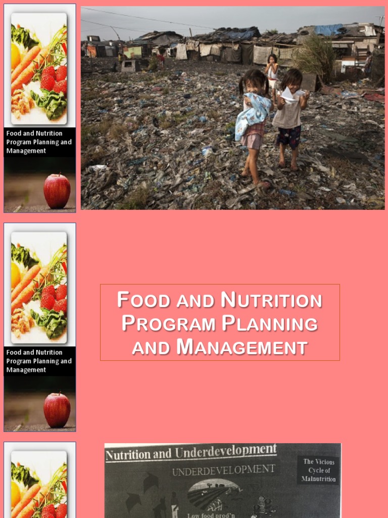Nutrition Program Planning Essentials | PDF | Evaluation | Millennium ...