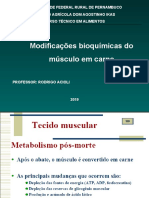 Aula 2 Bioquimica Da Transformação Do Músculo Esquelético em Carne. Parte II