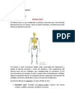 Sistema Oseo, Muscular y La Piel Anatomía